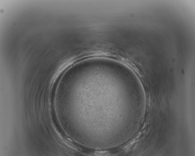 X0000068830055200605121351