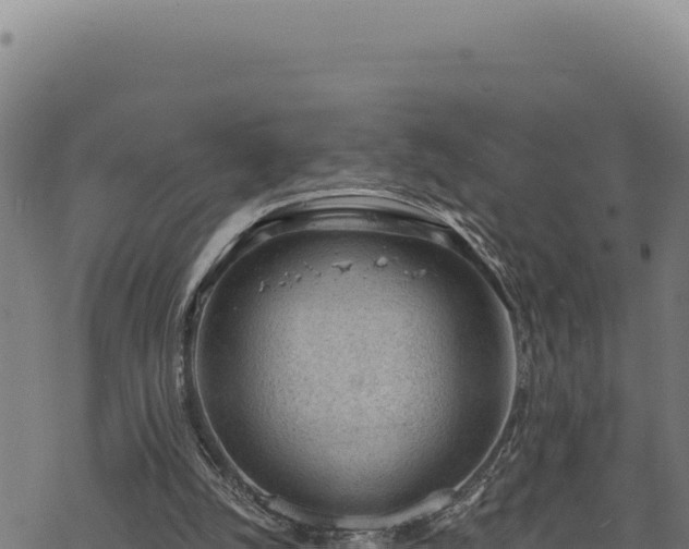 X0000068830056200605121351