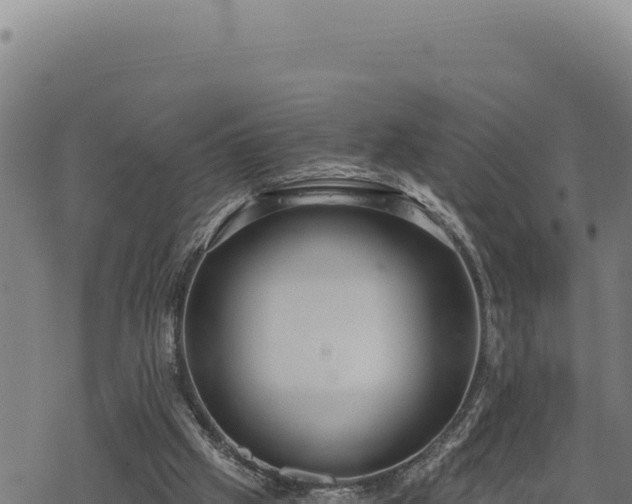 X0000068830057200605121351