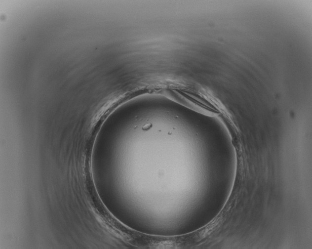 X0000068830058200605121351