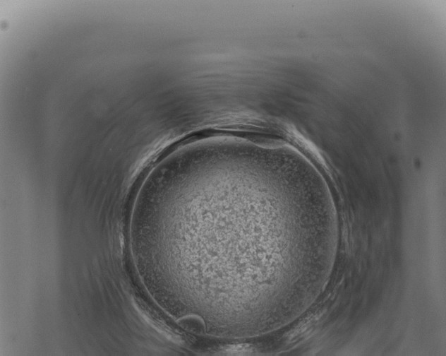 X0000068830059200605121351