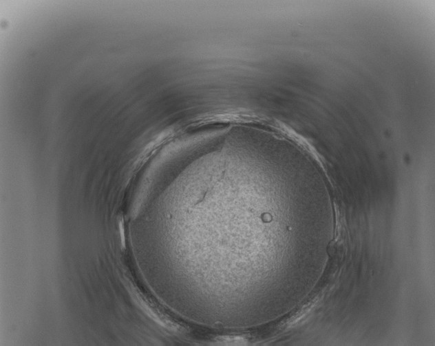 X0000068830061200605121351