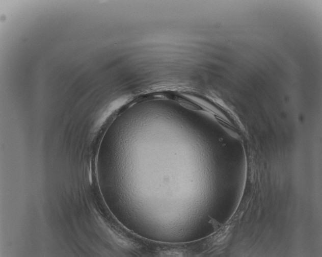 X0000068830062200605121351