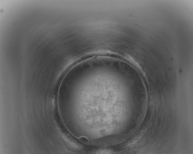 X0000068830063200605121351