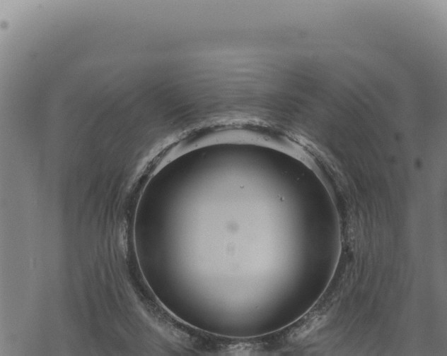 X0000068830064200605121351