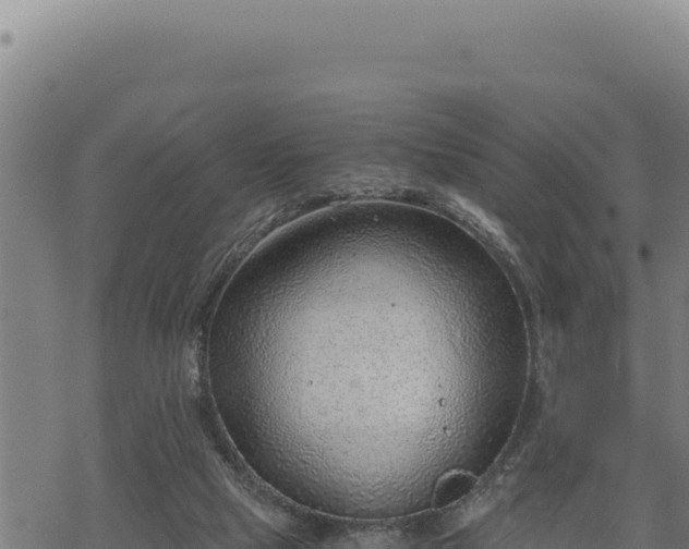 X0000068830065200605121351