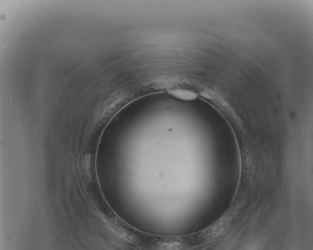 X0000068830066200605121351