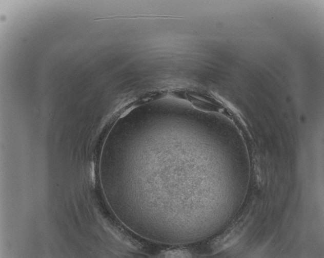 X0000068830067200605121351