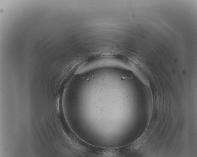 X0000068830070200605121352