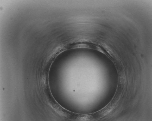 X0000068830072200605121352