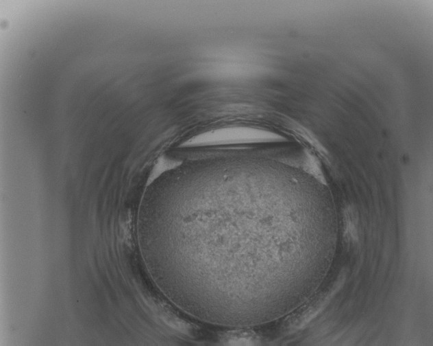 X0000068830073200605121352