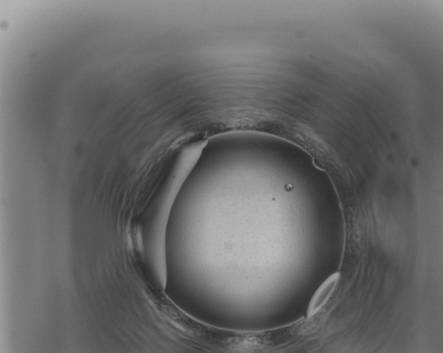 X0000068830074200605121352