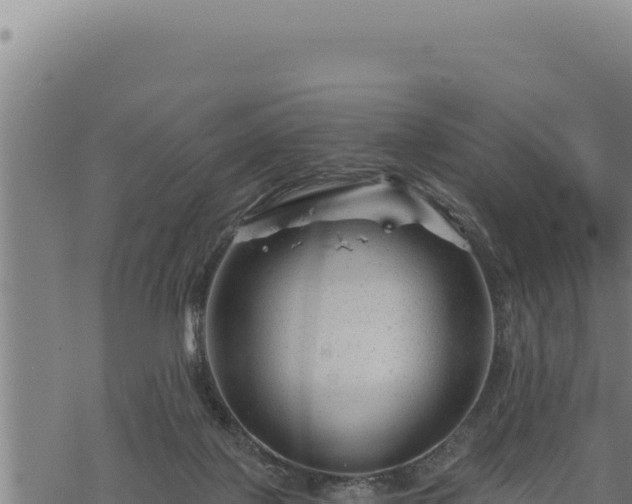 X0000068830075200605121352