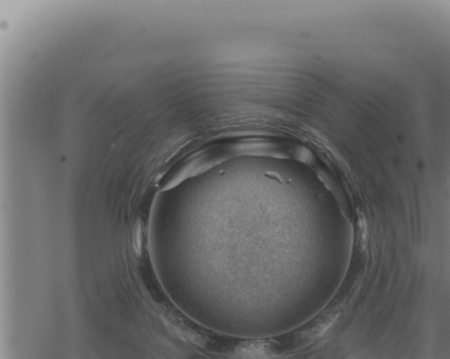 X0000068830076200605121352