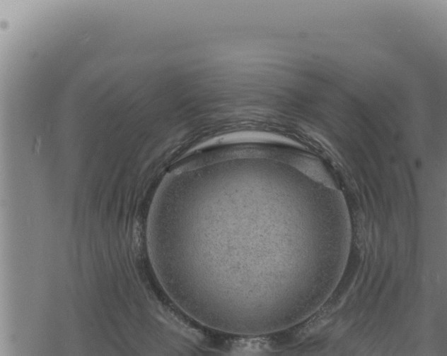 X0000068830077200605121352