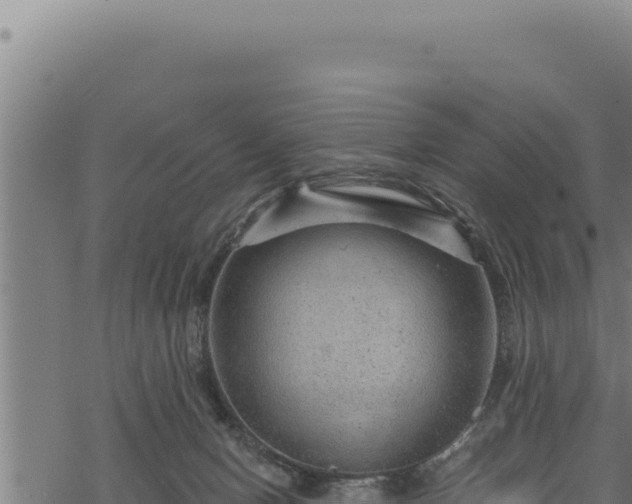 X0000068830078200605121352