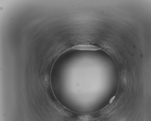 X0000068830079200605121352