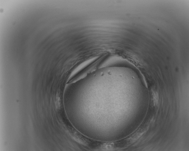 X0000068830080200605121352