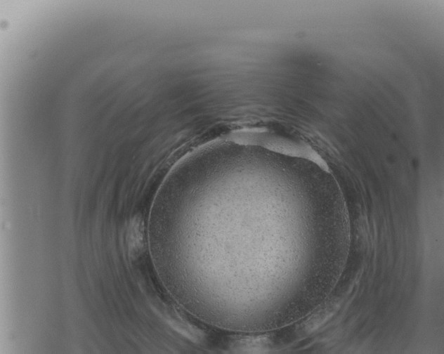 X0000068830081200605121352