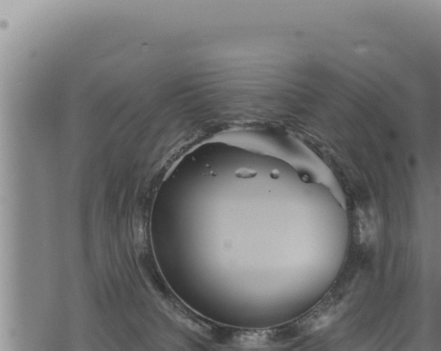 X0000068830084200605121352