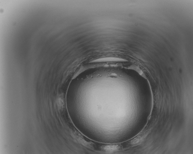 X0000068830085200605121352