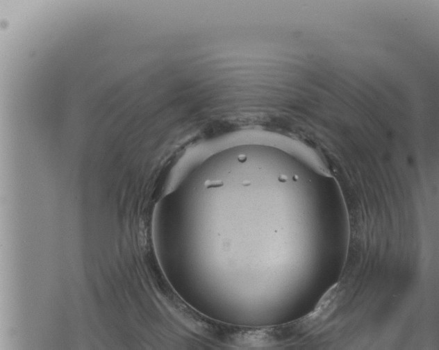 X0000068830086200605121352