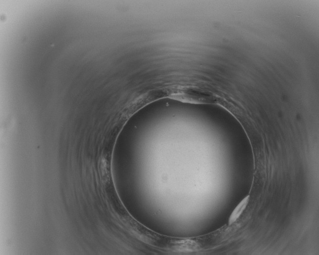 X0000068830087200605121352