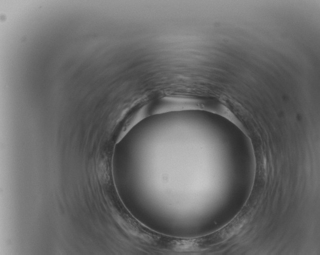 X0000068830088200605121352