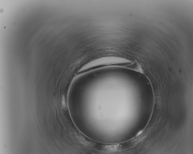 X0000068830089200605121352