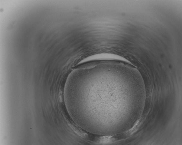 X0000068830090200605121352