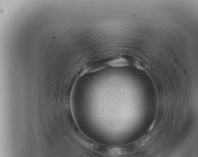 X0000068830091200605121352