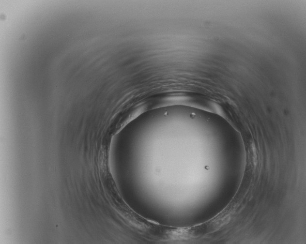 X0000068830092200605121352