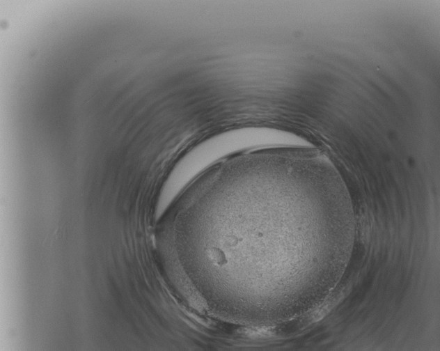 X0000068830093200605121352