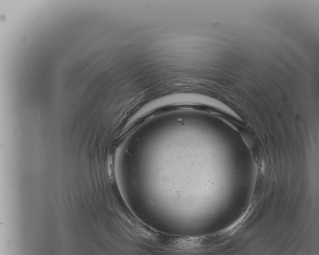 X0000068830094200605121352