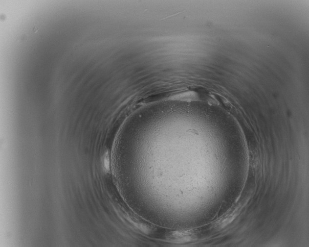 X0000068830095200605121352