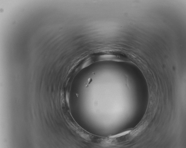 X0000068830096200605121352