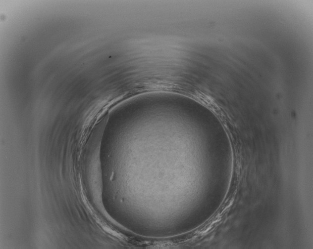 X0000068830097200605121351