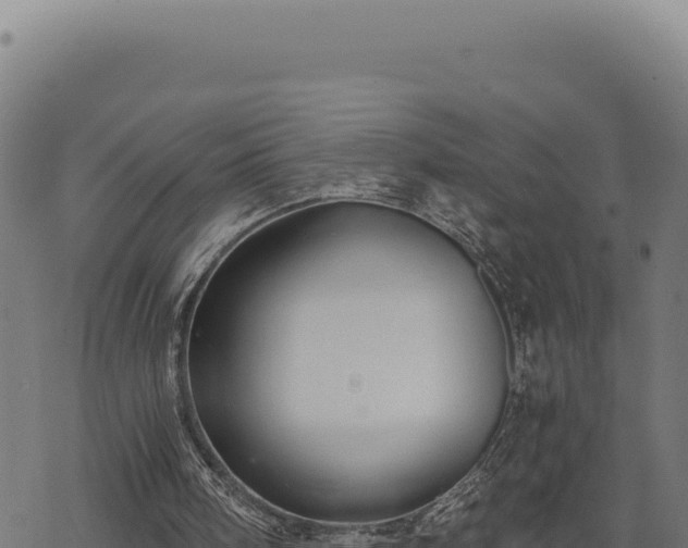 X0000068830098200605121351