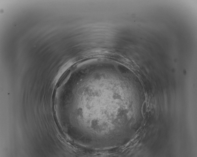 X0000068830099200605121351