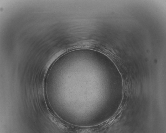 X0000068830100200605121351