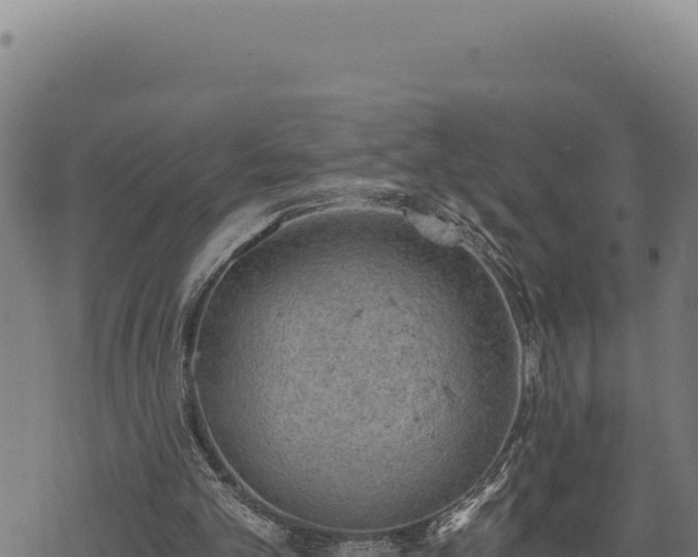 X0000068830101200605121351