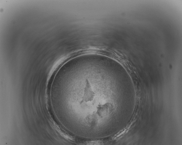 X0000068830102200605121351