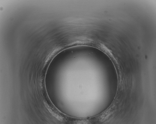 X0000068830106200605121351