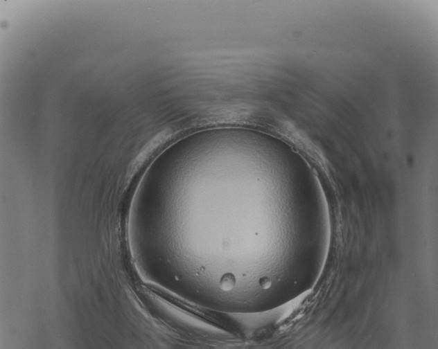 X0000068830107200605121351