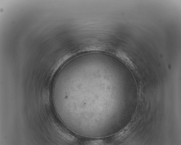 X0000068830108200605121351