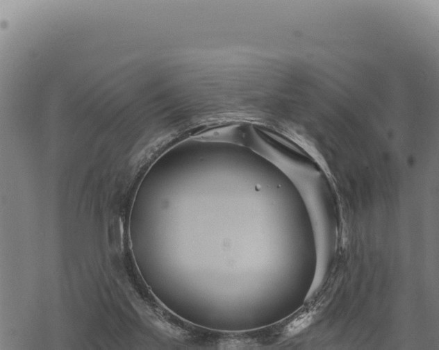 X0000068830109200605121351