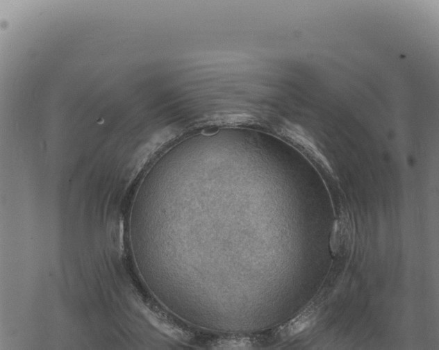 X0000068830110200605121351