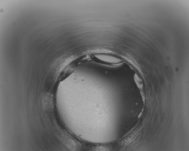 X0000068830111200605121351