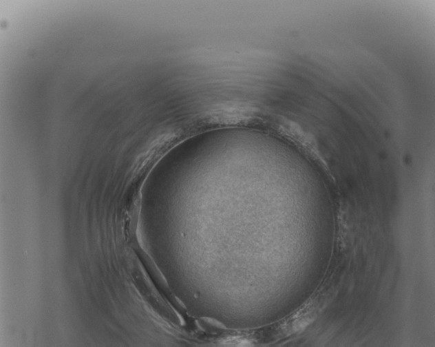 X0000068830114200605121351