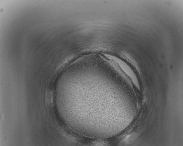 X0000068830115200605121351